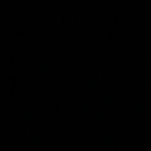 Meet your Posher, Alissa